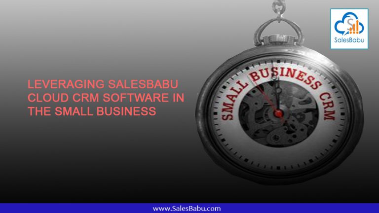Leveraging SalesBabu Cloud CRM Software in the Small Business : SalesBabu.com