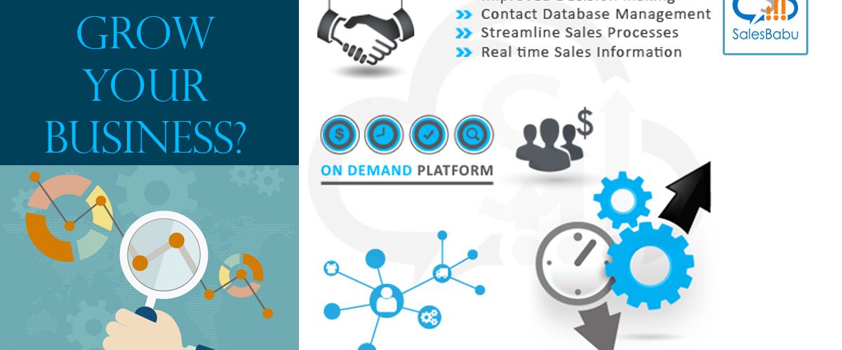 How CRM Grow Your Business: SalesBabu.com
