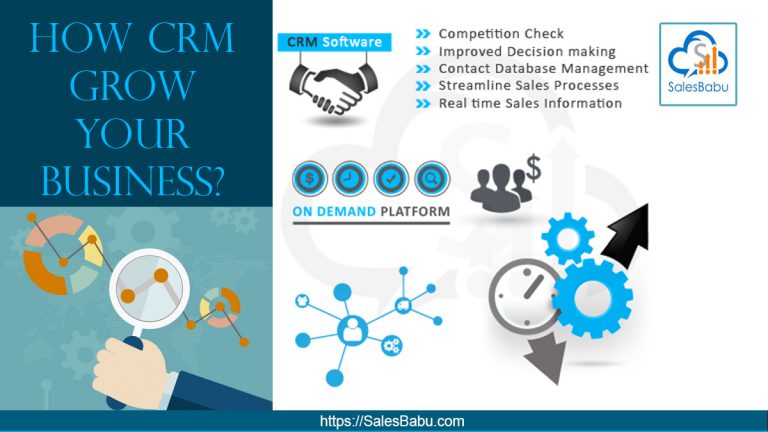 How CRM Grow Your Business: SalesBabu.com