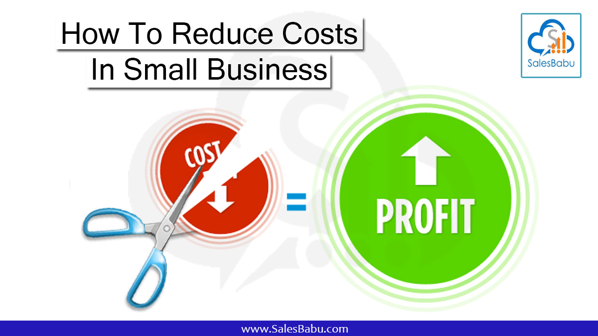 How To Reduce Costs In Small Business With SalesBabu CRM Software