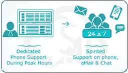Dedicated Support