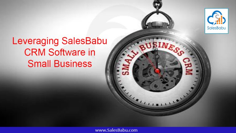 Leveraging SalesBabu CRM Software in the Small Business : SalesBabu.com