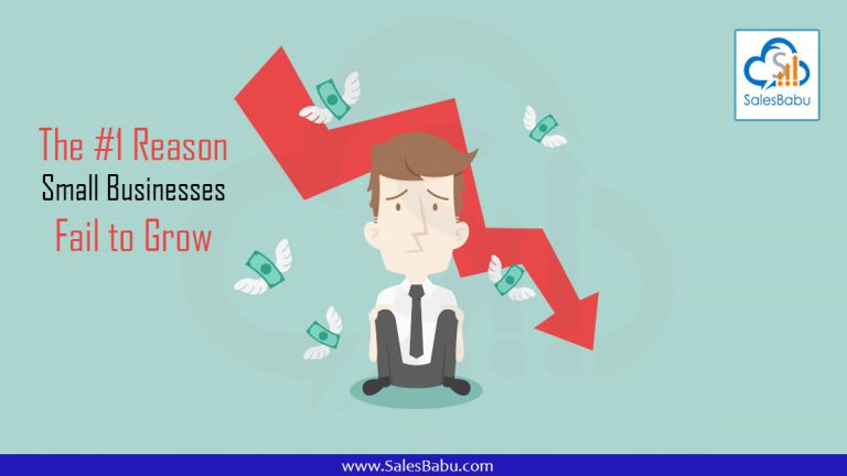 The #1 Reason Small Businesses Fail to Grow : SalesBabu.com