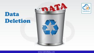 Data Deletion : SalesBabu.com