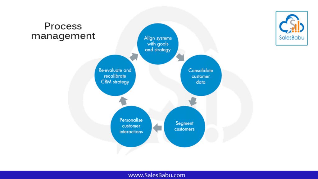 Process management : SalesBabu.com