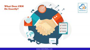 What Does CRM Do Exactly : SalesBabu.com