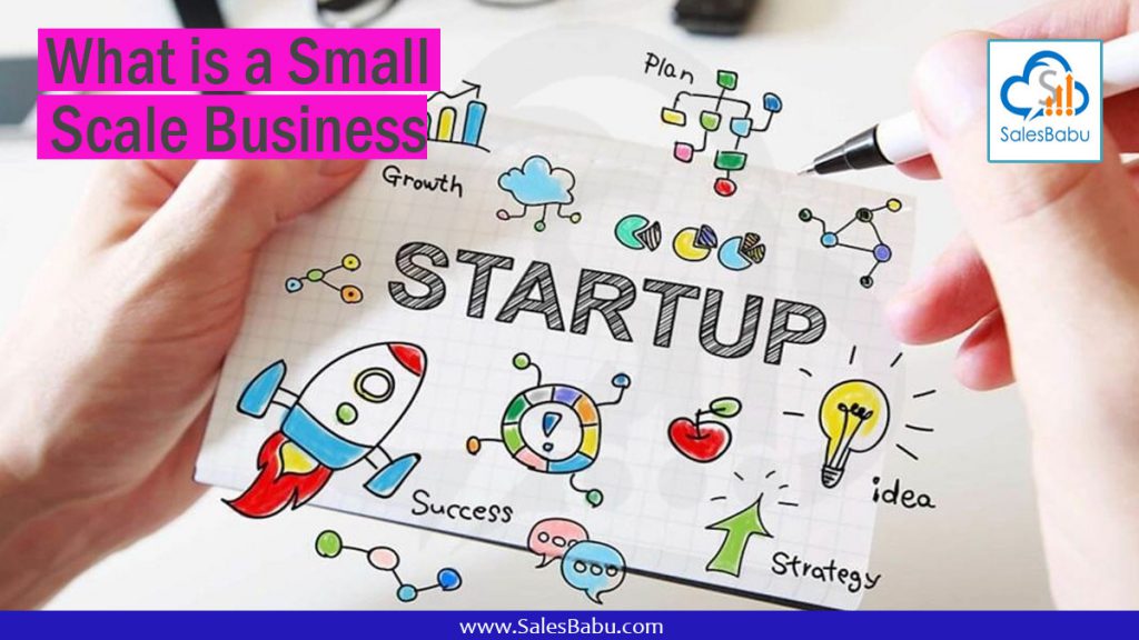 What is a Small Scale Business : SalesBabu.com