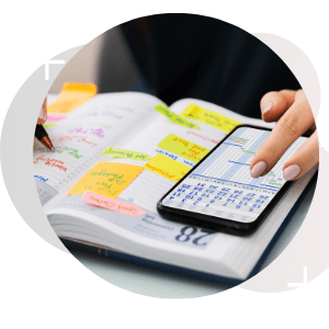 SalesBabu Task Management