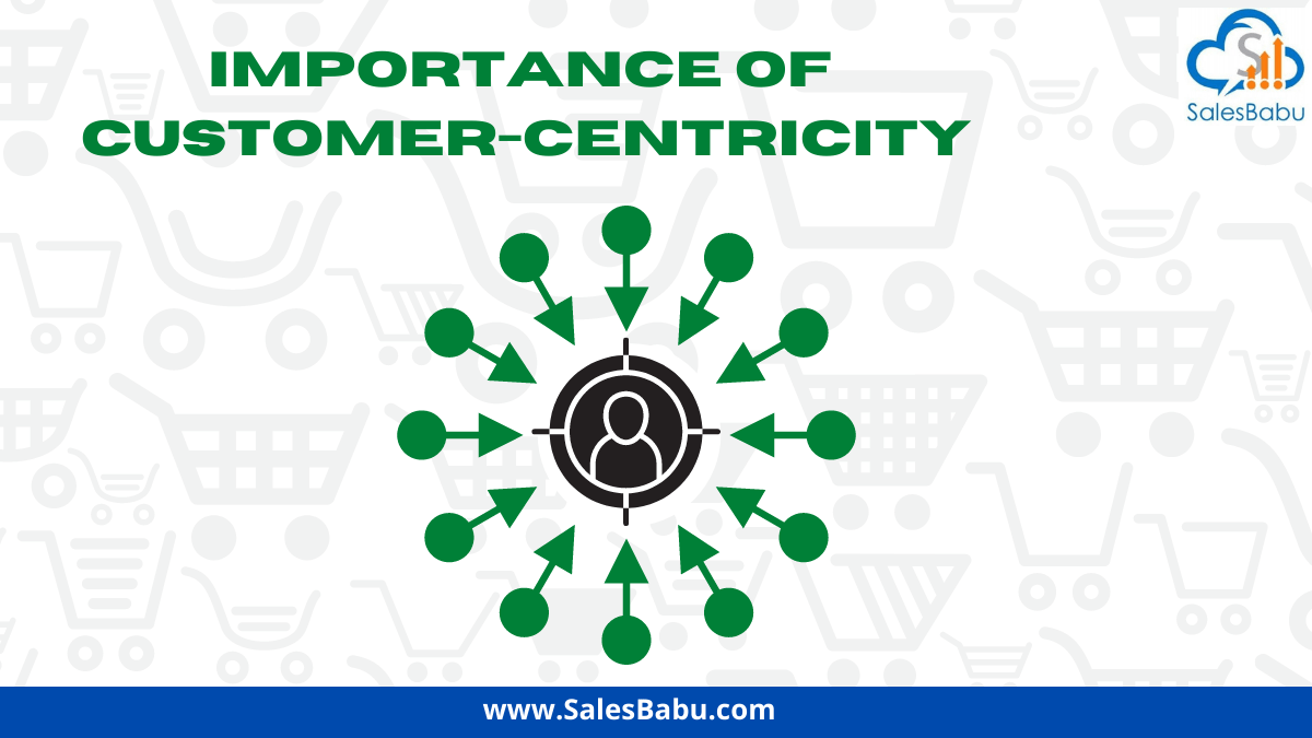 Importance of customer-centric strategy for your business