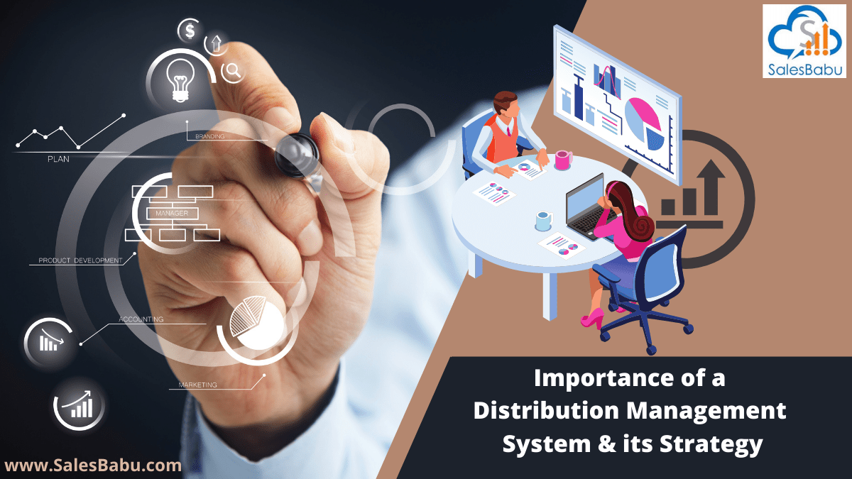 Importance of a distribution management system and its strategy