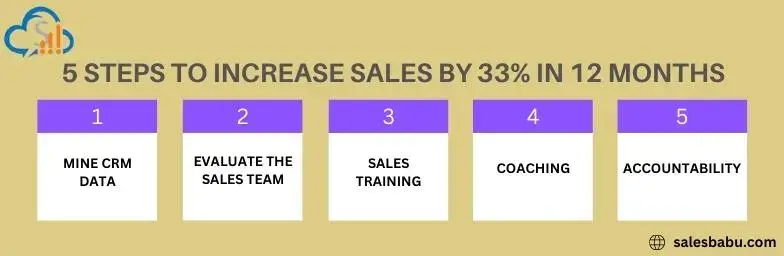 5 steps to increase sales by 33 in 12 months