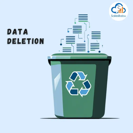 Data Deletion : SalesBabu.com
