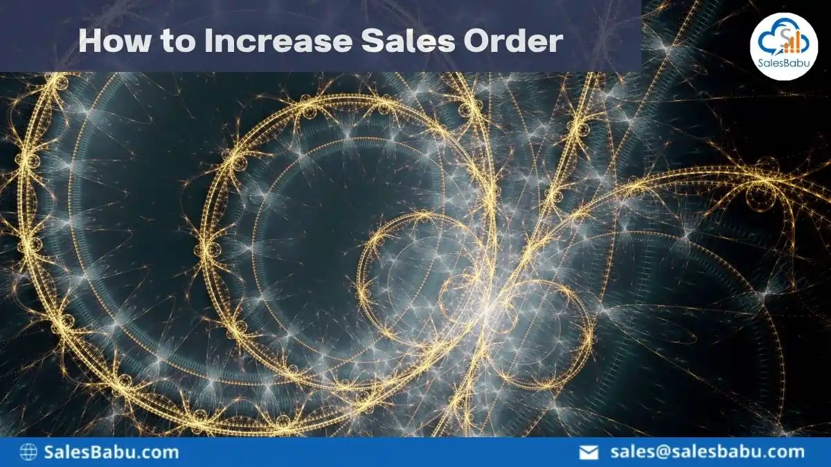 How to Increase your Sales Order : SalesBabu.com