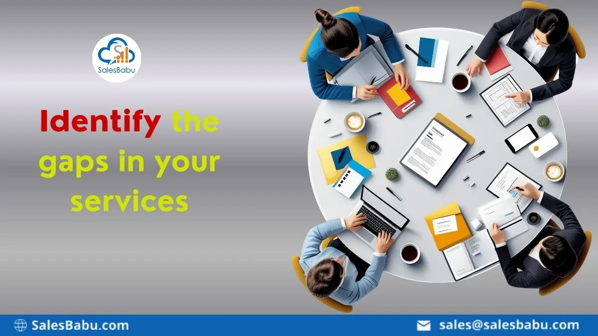 Identify the gaps in your services : SalesBabu.com