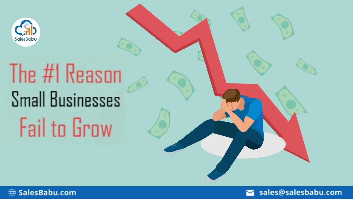 The #1 Reason Small Businesses Fail to Grow : SalesBabu.com